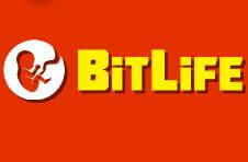 Bitlife Online